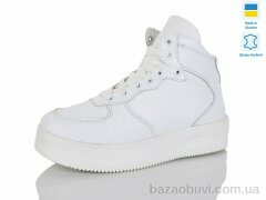 Carolina 21147-2, 890.00, 6, 36-40