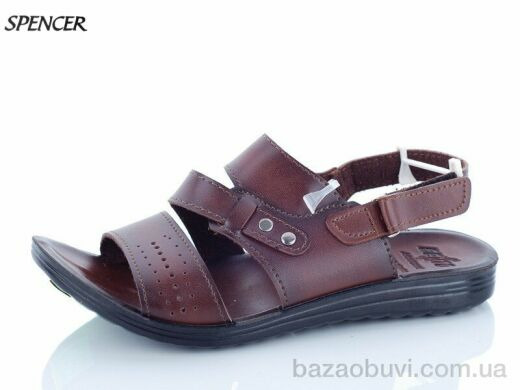 Spencer 8649 коричневый, 160.00, 6, 41-45