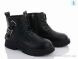 Violeta Y97(0446B) black, 330.00, 6, 32-37