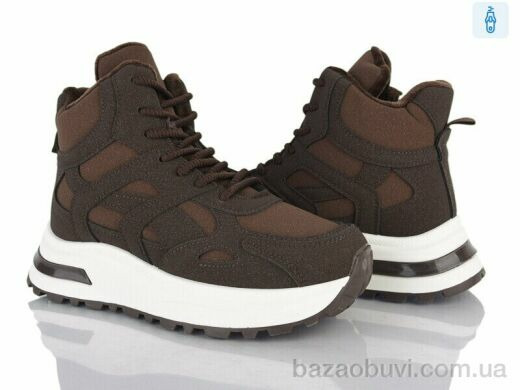 Baolikang G21-2, 580.00, 8, 36-41