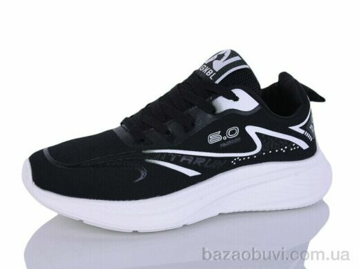 Ditof B0077-1, 11.00, 8, 36-41