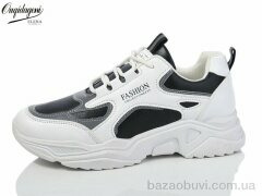 Dageni MC8-3, 490.00, 8, 37-41
