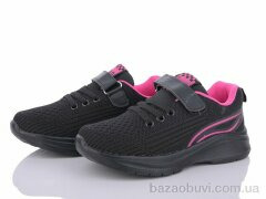 LQD TS107-2, 360.00, 8, 31-36