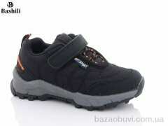 Башили A866-2A, 480.00, 8, 25-31