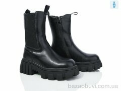 Lion A77-1259, 650.00, 6, 36-40