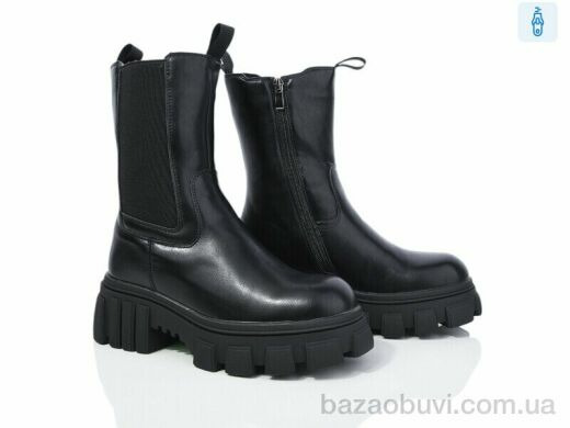 Lion A77-1259, 650.00, 6, 36-40