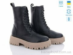 Sunrise 81-2M, 1300.00, 6, 36-40