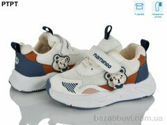 PTPT 6168, 490.00, 6, 23-28