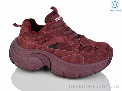 Teetspace-Trasta-Egga WDP1889-58, 35.00, 6, 36-41