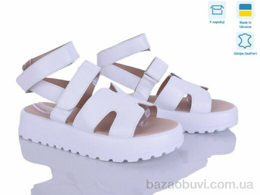 Ailinda 316A-8, 490.00, 6, 36-40