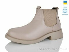 Carolina 2145-3, 550.00, 6, 36-40