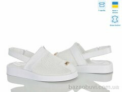 Ailinda 1309-82, 750.00, 6, 36-40