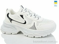 Swin 4137-2, 390.00, 8, 36-41