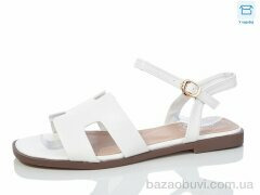 Hongquan B16-2, 490.00, 8, 36-41