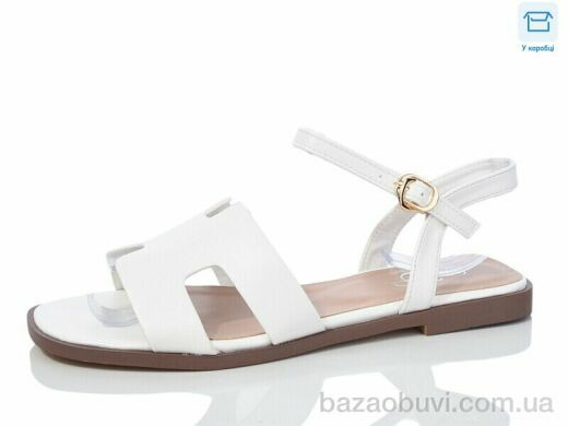 Hongquan B16-2, 490.00, 8, 36-41
