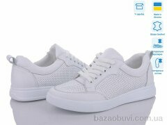 Fat Fox-Tamei 1069-32, 1020.00, 6, 36-41