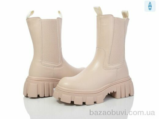 Lion A77-1259-2, 650.00, 6, 36-40