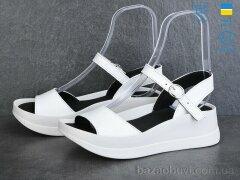 Ailinda 9652-8, 570.00, 6, 36-40