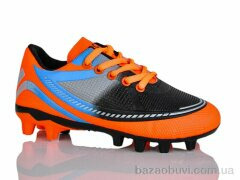 ASHIGULI C24-3, 430.00, 6, 31-36