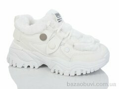 Hongquan J981-2, 440.00, 8, 36-41
