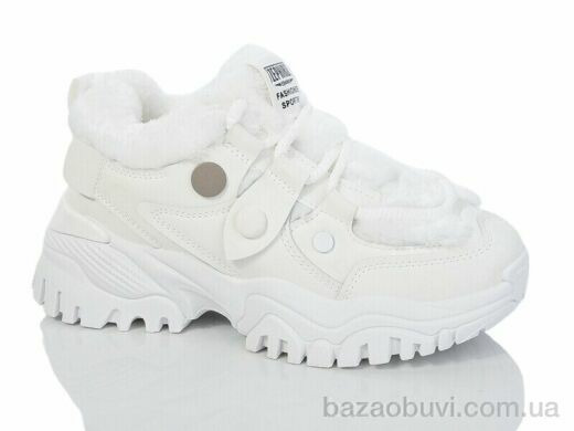 Hongquan J981-2, 440.00, 8, 36-41