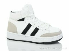 L.B. L1036-1, 600.00, 8, 36-41