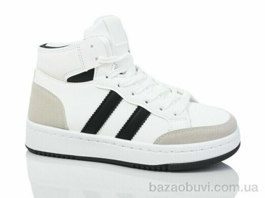 L.B. L1036-1, 600.00, 8, 36-41