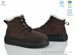 Viscala 27317-VL192 шок.з., 1060.00, 6, 36-40