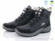 Paolla 363-6313, 770.00, 8, 40-46