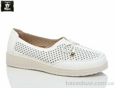 Steel Land 2024-8, 450.00, 8, 36-41