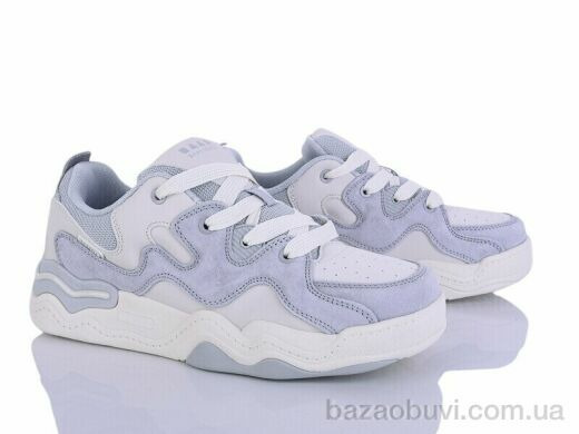 Мир 4310-B1858-25, 550.00, 8, 36-40