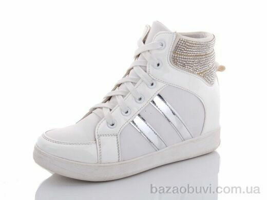 Lion 1115-3, 100.00, 8, 36-41