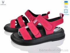 Viscala 23212 мал.з., 490.00, 6, 36-40