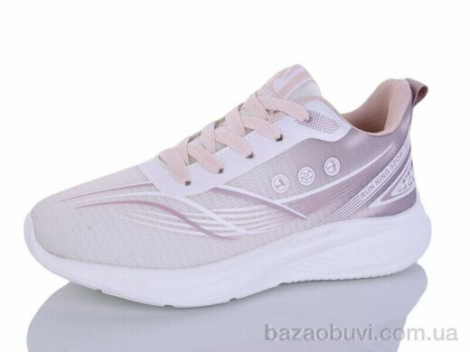 Ditof B0107-3, 11.00, 8, 36-41