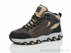 Ditof B23099-3, 19.00, 6, 36-41