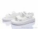 KIMBOO FG629-3C, 550.00, 8, 32-37