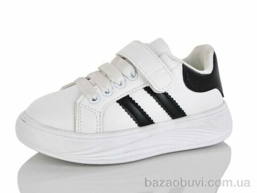 ASHIGULI 2029-2, 330.00, 12, 26-31