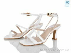 Alimama-Girnaive QQ127-2, 590.00, 6, 36-41