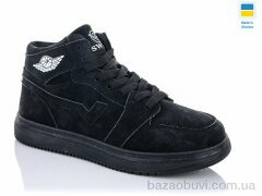 Swin 1603-6, 290.00, 8, 36-41