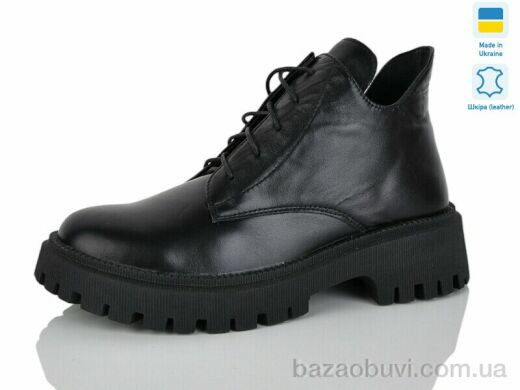 Carolina AP153-1, 750.00, 6, 36-40