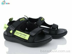 BBT L121-3-1, 335.00, 8, 31-36