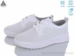 STILLI Group P70-1 шкіра, 440.00, 8, 36-41