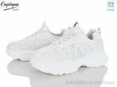 Dageni Y80-2, 690.00, 8, 37-41