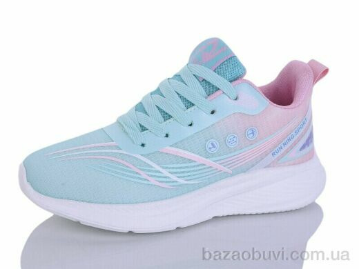 Ditof B0107-4, 11.00, 8, 36-41