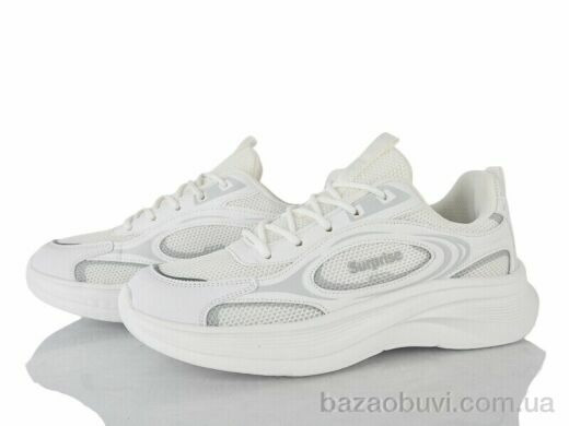 Lion-Lu B0081-2, 460.00, 8, 36-40