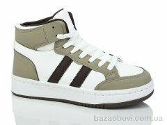 L.B. L1036-2, 600.00, 8, 36-41