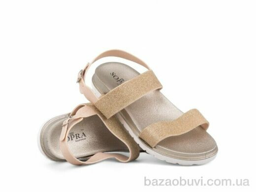 Prime-Opt Prime XG-66 GOLD літо, 143.00, 12, 36-41