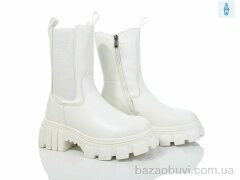 Lion A77-1259-5, 650.00, 6, 36-40