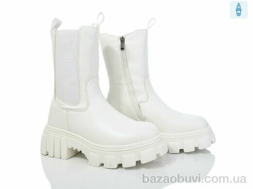 Lion A77-1259-5, 650.00, 6, 36-40