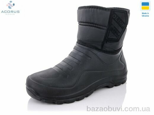 Acorus CM322, 270.00, 8, 41-45